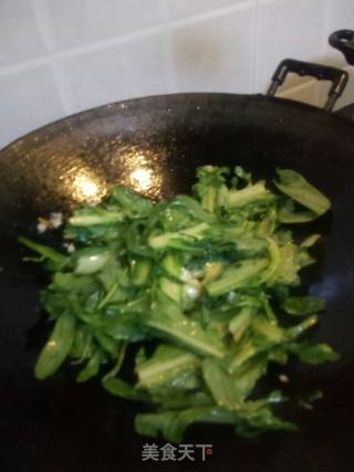 蒜泥炒甜麦菜的做法步骤：4