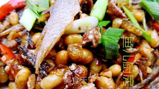 腊八豆焖手撕火培鱼──“鱼儿厨房”私房菜的做法步骤：11