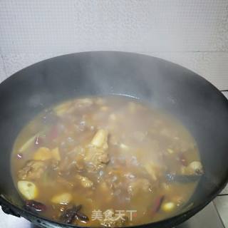 红萝卜炖牛肉的做法步骤：9