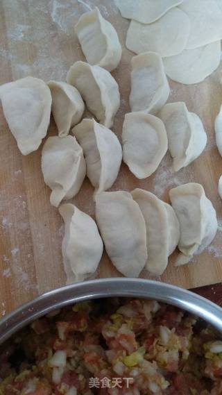 白菜海米肉馅饺子的做法步骤：6