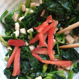 扇贝丁拌菠菜的做法步骤：9