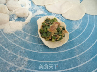 韭菜西葫芦猪肉馅水饺的做法步骤：8