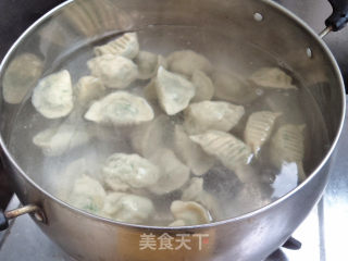 韭菜西葫芦猪肉馅水饺的做法步骤：10