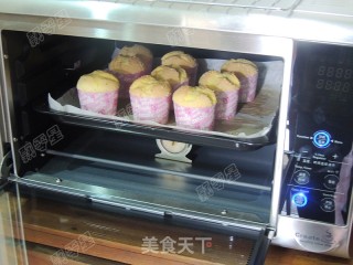 分蛋海绵小蛋糕的做法步骤：16