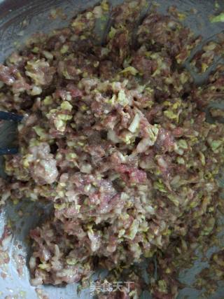驴肉白菜饺子的做法步骤：5