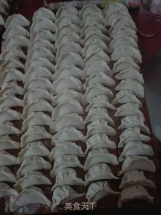 青菜香菇猪肉水饺的做法步骤：5