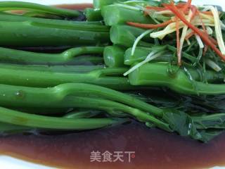 白灼芥蓝菜的做法步骤：8