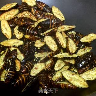 孜然干煸蝉蛹的做法步骤：5