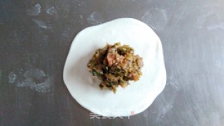 雪菜肉包的做法步骤：9