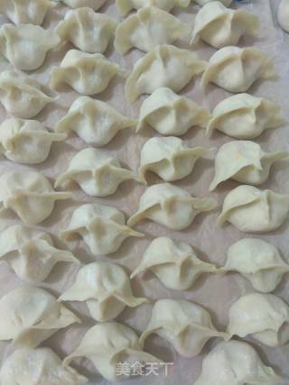 #妈妈的味道#胡萝卜豆腐馅水饺的做法步骤：11