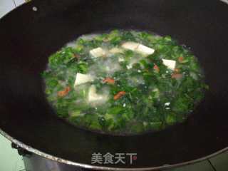 青菜豆腐的做法步骤：8