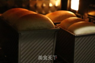 超软吐司的做法步骤：15