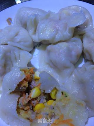 胡萝卜玉米瘦肉饺子的做法步骤：6