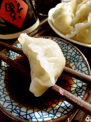 韭菜鲜肉饺子的做法步骤：13