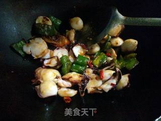 辣炒章鱼足——妈妈的味道的做法步骤：7