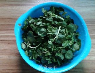 西洋菜鸡汤的做法步骤：6