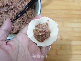 牛肉白萝卜蒸饺的做法步骤：11