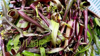 醋香红菜芯──“鱼儿厨房”私房菜的做法步骤：2