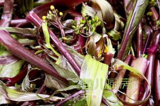 醋香红菜芯──“鱼儿厨房”私房菜的做法步骤：7