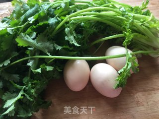 香菜摊鸡蛋的做法步骤：1