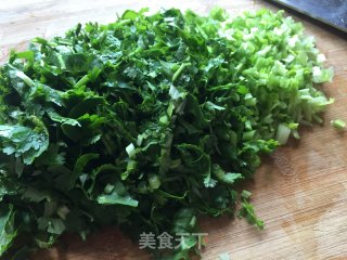 香菜摊鸡蛋的做法步骤：3
