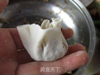 羊肉烧麦的做法步骤：9