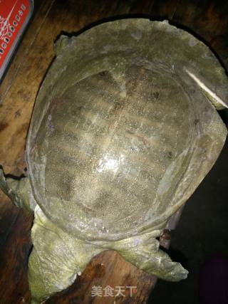 烧甲鱼的做法步骤：4