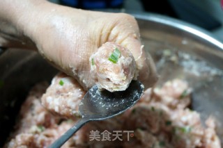 香炸肉丸子的做法步骤：3