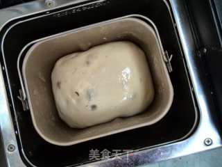 蔓越莓吐司面包的做法步骤：6
