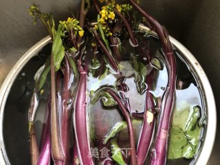 XO酱炒紫菜苔的做法步骤：1