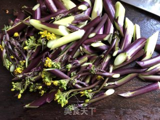 XO酱炒紫菜苔的做法步骤：2