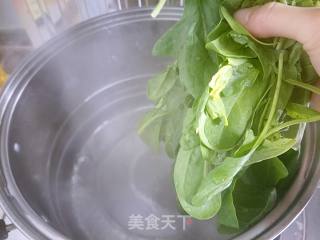 蒜蓉菠菜的做法步骤：3