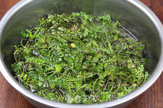 吃也吃不够的荠菜馄饨的做法步骤：1