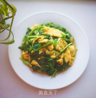 #妈妈的味道#韭菜炒鸡蛋的做法步骤：10