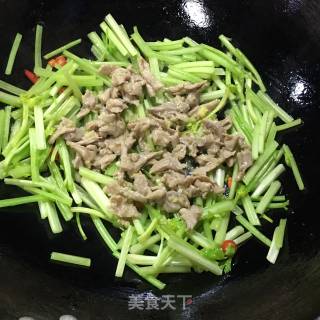 芹菜肉丝的做法步骤：7