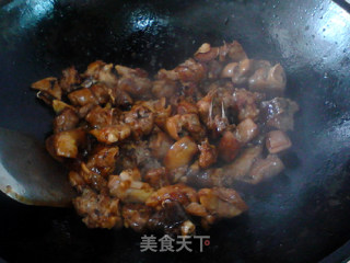 小鸡炖蘑菇的做法步骤：9