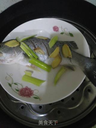 清蒸鲈鱼的做法步骤：2