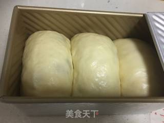 北海道吐司的做法步骤：17