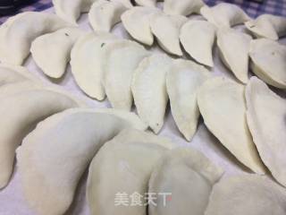 荠菜猪肉水饺的做法步骤：7