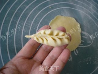 麦穗玉米面饺子的做法步骤：9