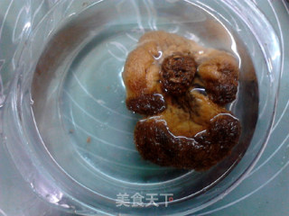 参芪猴菇炖鸽子的做法步骤：5