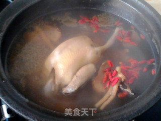 参芪猴菇炖鸽子的做法步骤：12