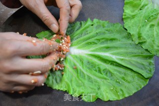 白菜（百财）肉卷的做法步骤：5