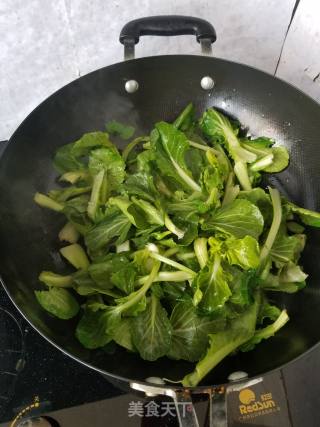 素炒油菜的做法步骤：3