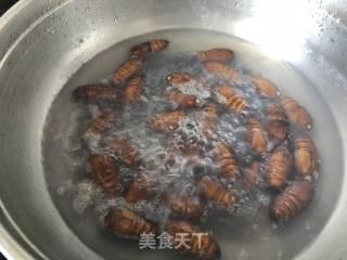开边蚕蛹的做法步骤：1