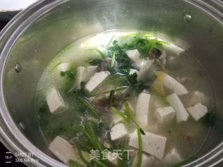 芫茜鱼头豆腐汤的做法步骤：13