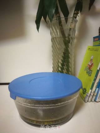 家生绿豆芽的做法步骤：6