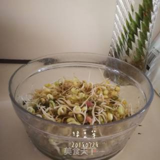 家生绿豆芽的做法步骤：11