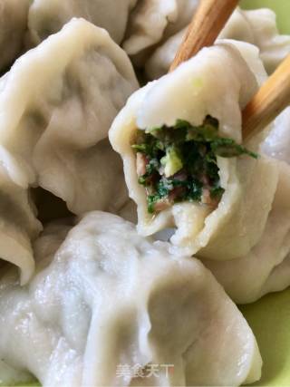 花样美食之荠菜饺子的做法步骤：9