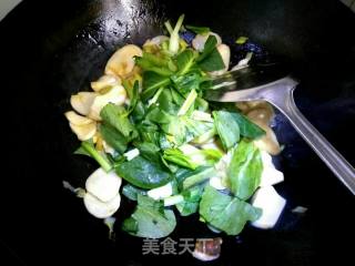 蚝油杏鲍菇的做法步骤：8